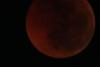 img_8286_t1.jpg